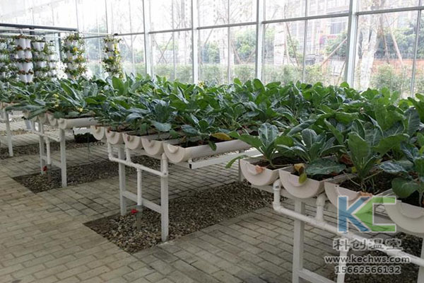 無(wú)土栽培,，無(wú)土栽培技術(shù)，無(wú)土栽培設(shè)備