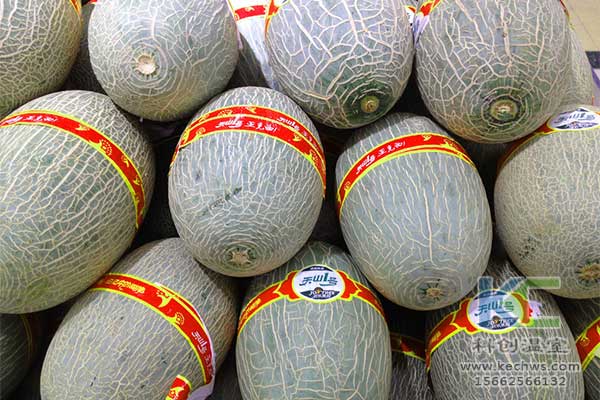 無土栽培，無土栽培技術(shù),，無土栽培設(shè)備