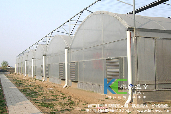 無(wú)土栽培,，無(wú)土栽培技術(shù)，無(wú)土栽培設(shè)備