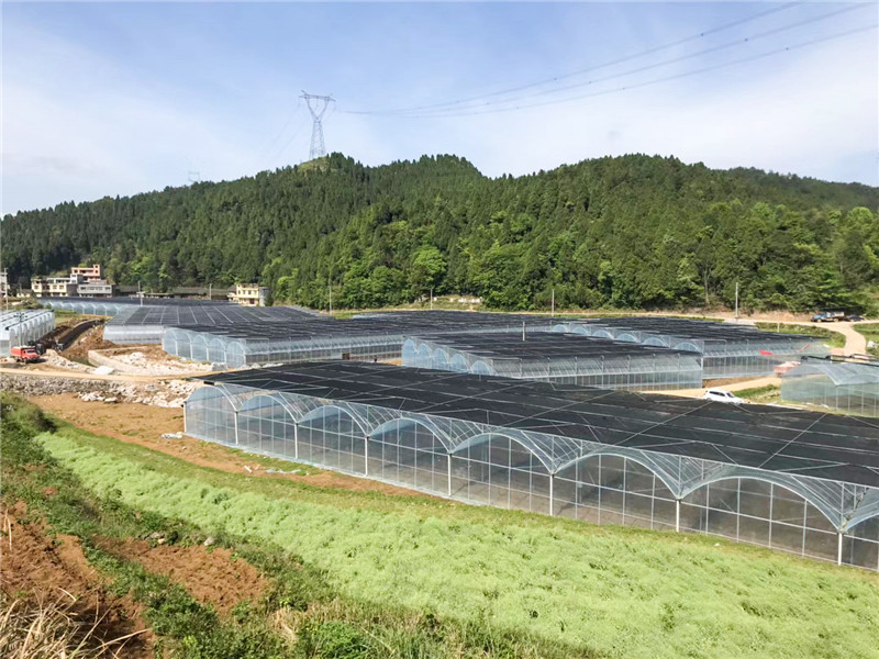 無土栽培，無土栽培技術(shù),，無土栽培設(shè)備