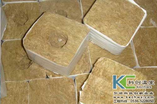 無(wú)土栽培，無(wú)土栽培技術(shù),，無(wú)土栽培設(shè)備
