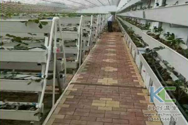 無土栽培，無土栽培技術(shù),，無土栽培設(shè)備