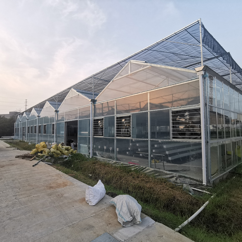 無土栽培,，無土栽培技術(shù),，無土栽培設(shè)備