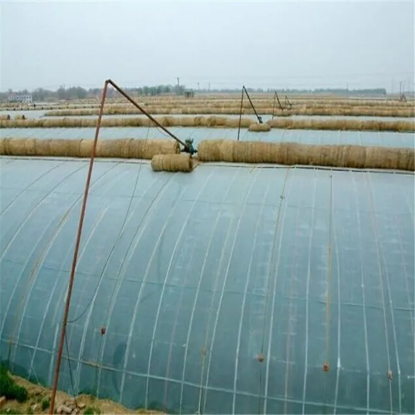 無土栽培，無土栽培技術(shù),，無土栽培設(shè)備