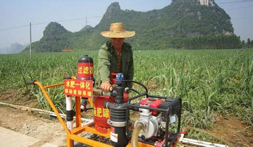 無(wú)土栽培,，無(wú)土栽培技術(shù),，無(wú)土栽培設(shè)備