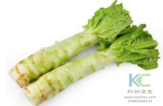 無(wú)土栽培,，無(wú)土栽培技術(shù)，無(wú)土栽培設(shè)備