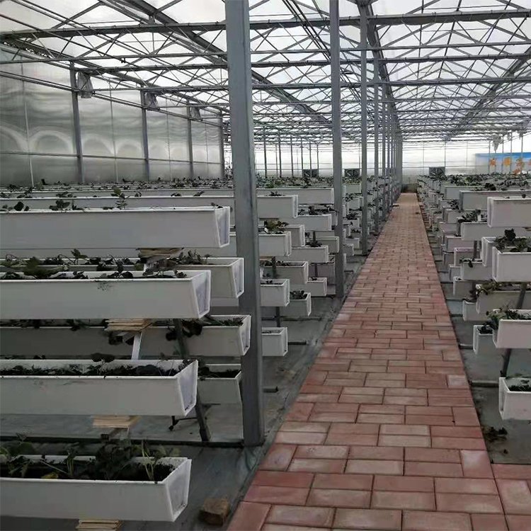 無土栽培,，無土栽培技術(shù),，無土栽培設(shè)備