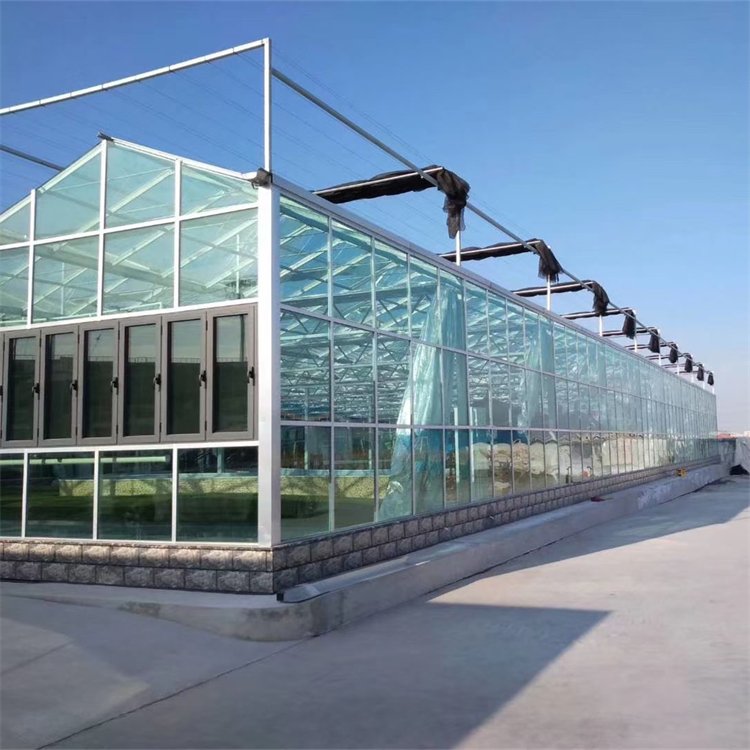 無土栽培,，無土栽培技術(shù),，無土栽培設(shè)備