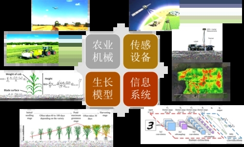 無土栽培，無土栽培技術(shù),，無土栽培設(shè)備